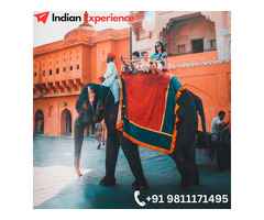 Delhi Jaipur One Day Tour