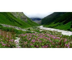 Best Tour Operator for Valley of Flowers