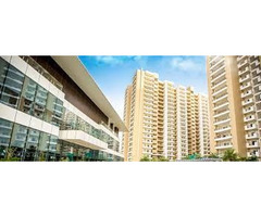 Gulshan Ikebana 3 BHK Price