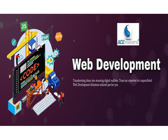 Best Web Development Company in India 2024 - Acemakers Technologies