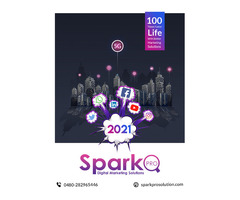 Spark Digital Solutions : Best Social Media Marketing Service Providers in Thrissur