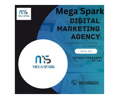 One of the greatest digital market Companies in India is Mega Spark.