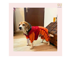 Dog Raincoat Full Coverage