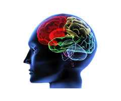 Finding the Best Neurologist in Patna: Your Guide to Expert Care and Treatment Options