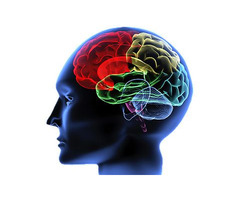 Top Tips for Finding the Best Neuro Doctor in Patna