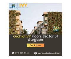 Orchid IVY Floors Sector 51 Gurgaon