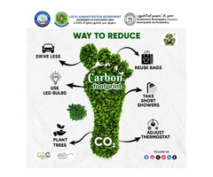 Top Carbon Footprint Management Service - Green Warrior®️