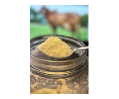 Gir Cow Colostrum Powder by Kinaya Farms