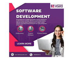 Software development service in noida