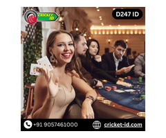 D247 ID: Bet on Many Games with Your Betting ID