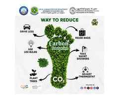 Top Carbon Footprint Management Service - Green Warrior®️