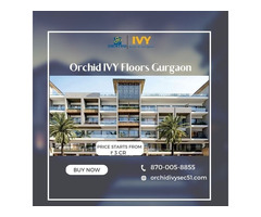 Orchid IVY Floors Gurgaon