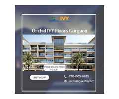 Orchid IVY Floors Gurgaon