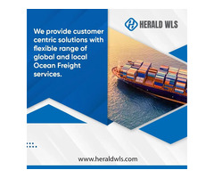 Best Ocean Freight Forwarding Services in Chennai - Herald Wls