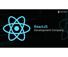 Top Reactjs Development Company