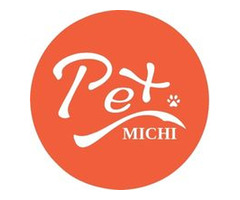 Top and Trusted Pet Care Services in Hyderabad