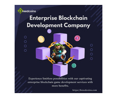 New High tech services in enterprise blockchain development