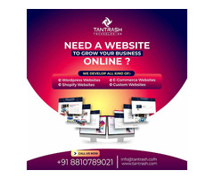 Get A Website To Grow Your Business Online-Tantrash Technologies