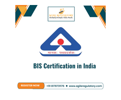 BIS Registration in Delhi