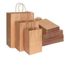 Carry Bag Printing Services from Ansh Print and Packaging