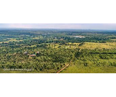 Agriculture Land For Sale in Hosur | Hosachiguru