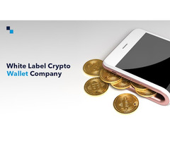 White Label Crypto Wallet Company: Business Benefits of Choosing Our Solution