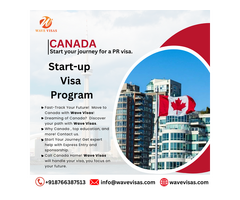 Wave Visas | Professional Visa and canada Immigration Support