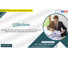 Qlikview Advance Developer Certification Online Training| BISP Global Fintech Company