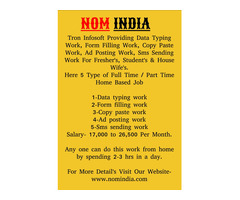 Simple Data Typing Work in in Chandigarh