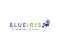 Blueiris : Top Social Media Marketing Agency in Mumbai | Expert Social Media Marketing Company in Mu