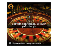 Unlock Your Betting World with Goexchange Login