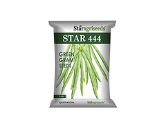 Buy Online Star 444 Green Moong Seeds in India - Star Agri Seeds