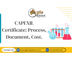 Capexil Certificate: Process, Document, Cost.