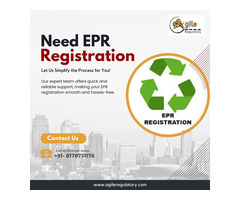 Get Your EPR Certificate Today – Fast and Affordable