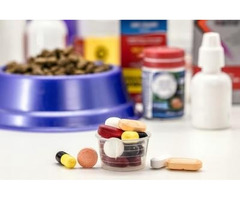 Wholesale Veterinary Medicine