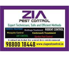 Zia Pest control | Pest Cleaning | Upto 40% Off | white Field Bangalore | 4094