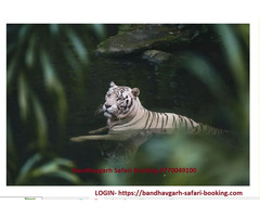 bandhavgarh Safari ticket