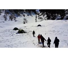 Explore the Dayara bugyal trek with Himalaya Shelter!