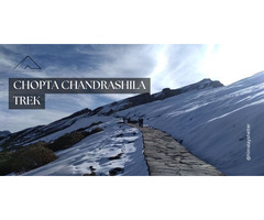 Explore the Chopta Chandrashila trek with Himalaya Shelter. Book Now!