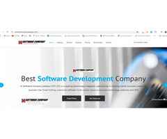 software website design development solution