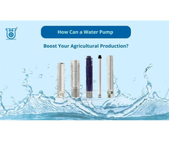 The Role of Water Pumps in Agricultural Production