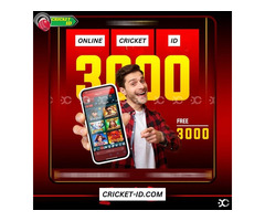 Simple Steps to Secure Your Online Cricket ID for Winning Bets