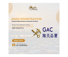 Expert GACC Consultant Services | Agile Regulatory