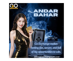 Go Exchange Asia No 1 Trusted Betting ID for all bettors