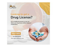 Get Your Drug License with best Consultants Agile Regulatory