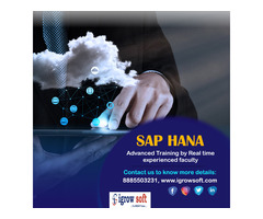 SAP HANA Online Training Institute in Ameerpet Hyderabad | Igrowsoft