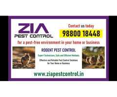 Zia Pest Control | Rat Mice and Lizard | 30% Off for Residence and Office | 5051