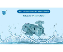 Centrifugal Pumps: Essential for Industrial Water Systems