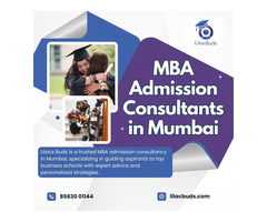 Best MBA Consultants in Mumbai | LilacBuds