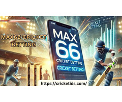 Top Cricket Betting Tools and Resources for Online Bettors